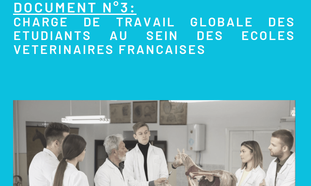 IVSA 2022 – Doc. 3 – Charge de travail globale des étudiants au sein des écoles vétérinaires françaises